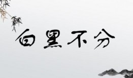 黑黑是什么意思流行词,揭秘网络流行语的神秘魅力